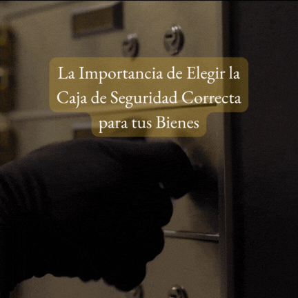 La Importancia de Elegir la Caja de Seguridad Correcta para tus Bienes