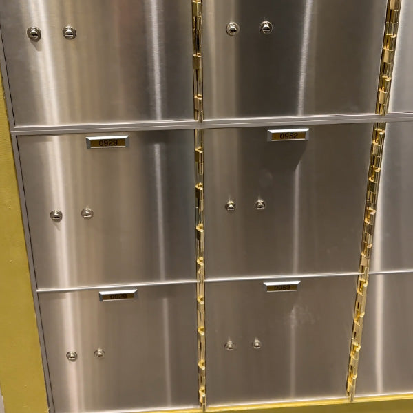 Caja de Seguridad Grande | Plan Anual